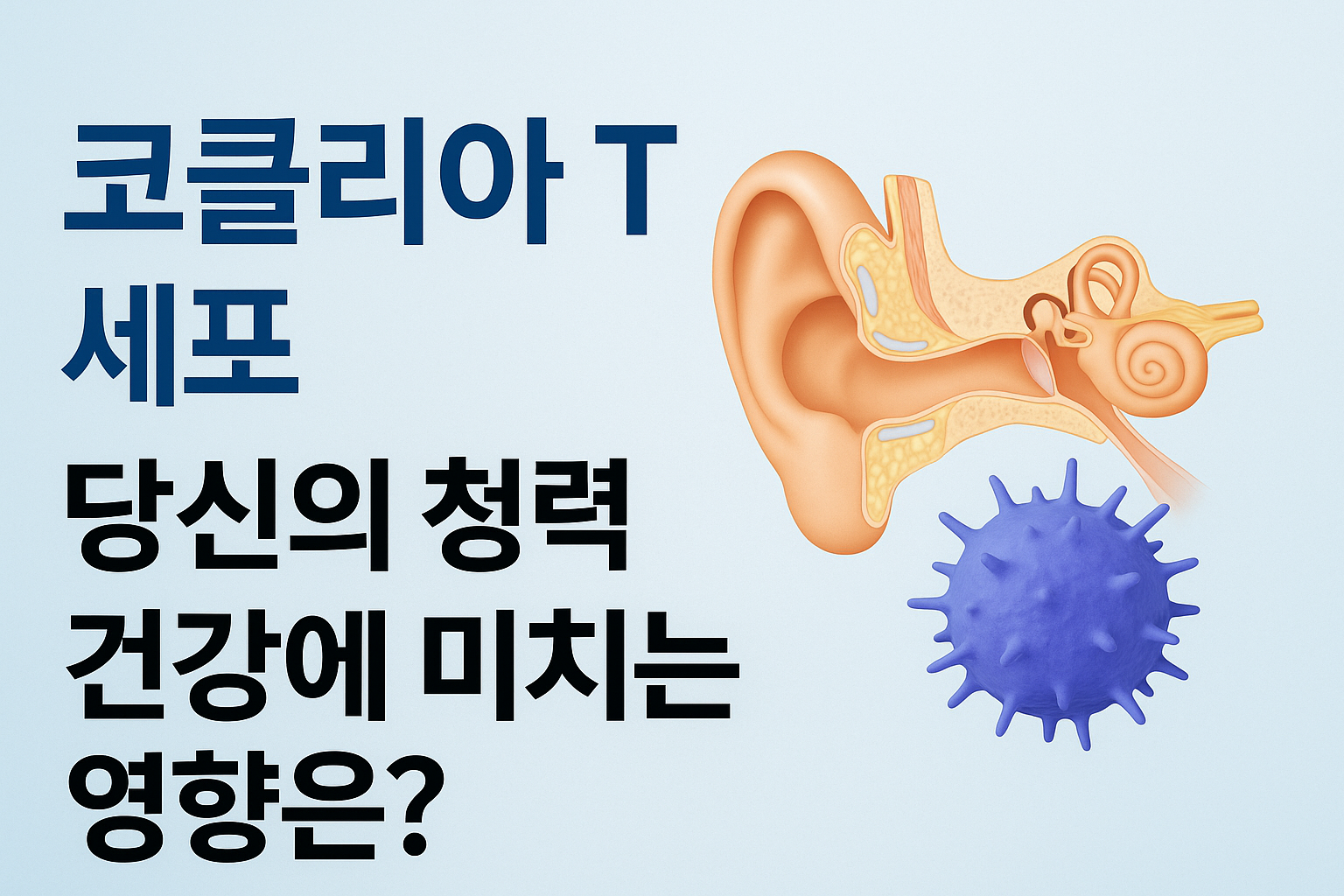코클리아 T세포가 당신의 청력 건강에 미치는 영향은